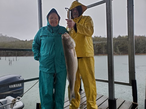 Nice Striped Bass