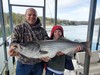 (03/26/2023) - Nice Striped Bass