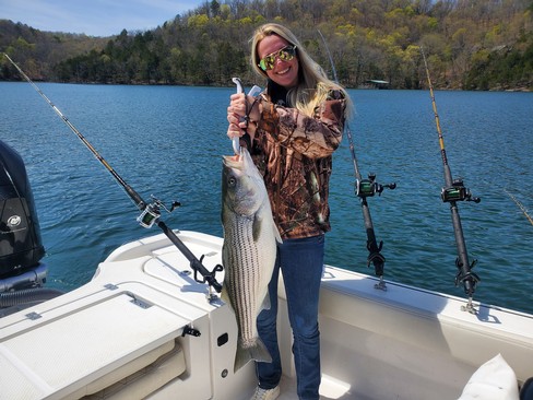 Nice Striped Bass