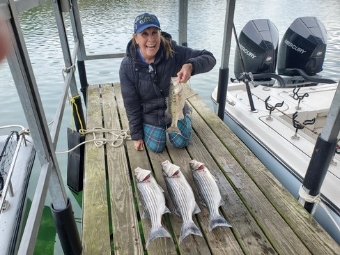 Nice Striped Bass