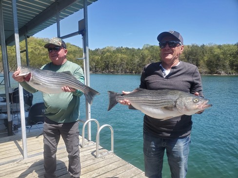 Nice Striped Bass