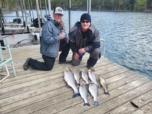 Nice Striped Bass