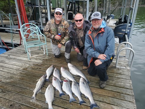 Nice Striped Bass