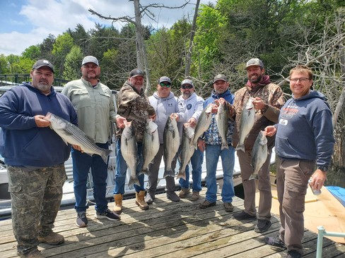 Nice Striped Bass