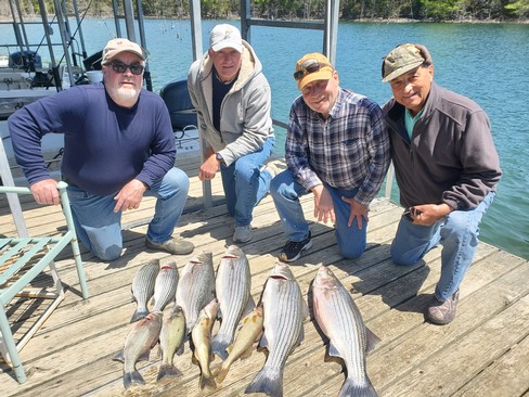 Nice Striped Bass