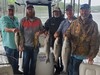 (05/10/2023) - Nice Striped Bass