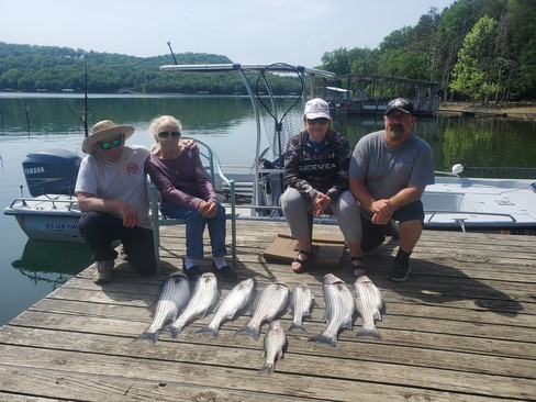 Nice Striped Bass