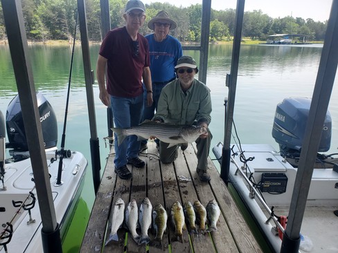 Nice Striped Bass