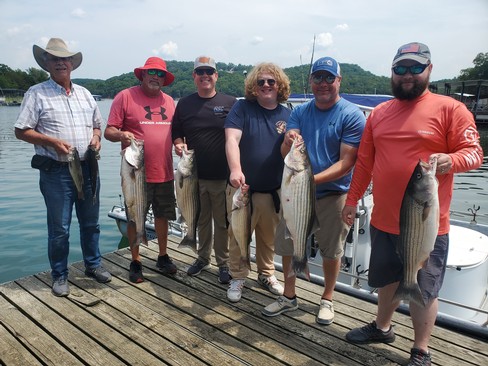 Nice Striped Bass