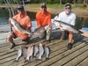 (06/07/2023) - Nice Striped Bass
