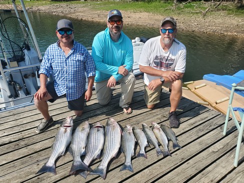 Nice Striped Bass