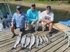 (06/08/2023) - Nice Striped Bass