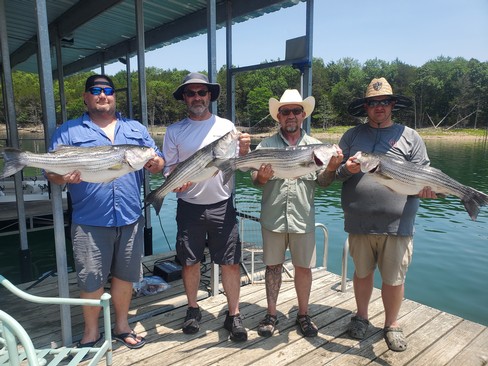 Nice Striped Bass