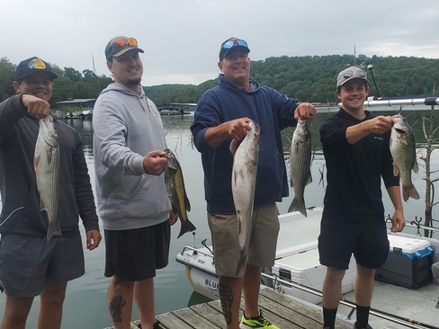 Nice Striped Bass