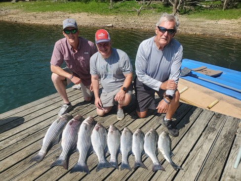 Nice Striped Bass