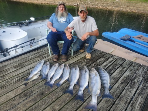 Nice Striped Bass