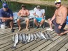 (06/23/2023) - Nice Striped Bass