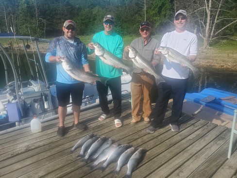 Nice Striped Bass