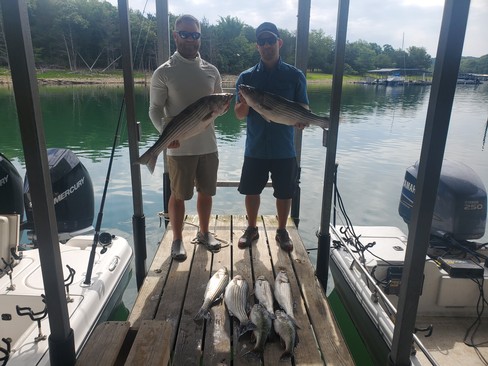 Nice Striped Bass