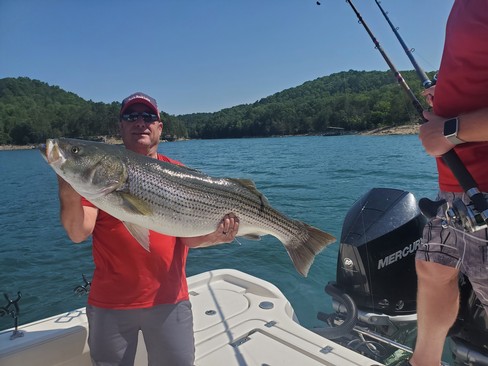 Nice Striped Bass