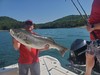 (06/29/2023) - Nice Striped Bass