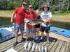 (06/29/2023) - Nice Striped Bass
