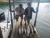 (07/01/2023) - Nice Striped Bass