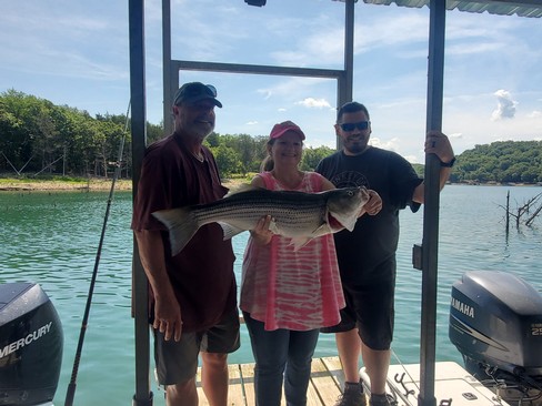 Nice Striped Bass