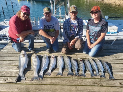 Nice Striped Bass