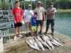 (07/16/2023) - Nice Striped Bass