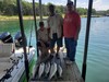 (07/22/2023) - Nice Striped Bass