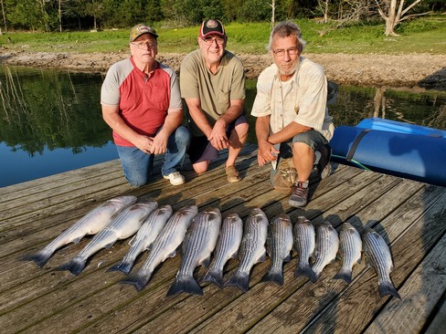 Nice Striped Bass
