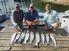 (07/26/2023) - Nice Striped Bass