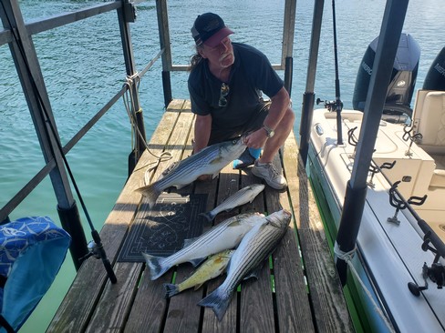 Nice Striped Bass