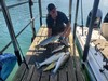 (07/27/2023) - Nice Striped Bass