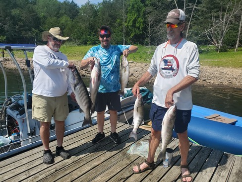 Nice Striped Bass