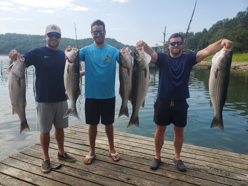 Nice Striped Bass