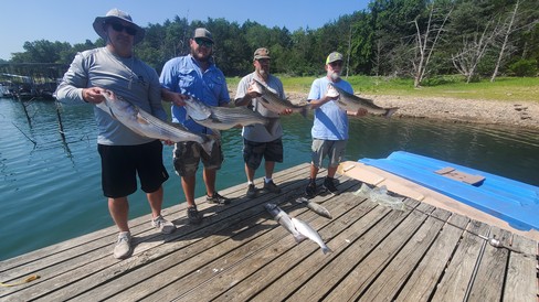 Nice Striped Bass