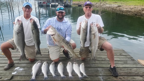 Nice Striped Bass