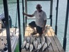 (08/02/2023) - Nice Striped Bass