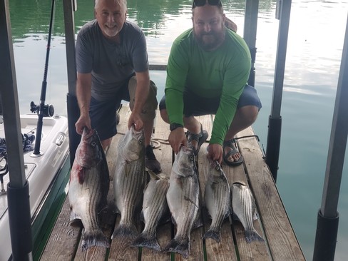 Nice Striped Bass