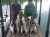 (08/04/2023) - Nice Striped Bass