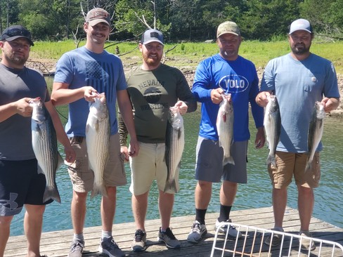 Nice Striped Bass