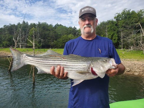 Nice Striped Bass