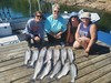 (08/15/2023) - Nice Striped Bass