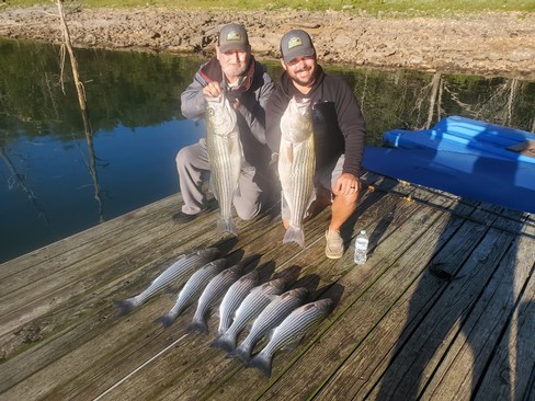 Nice Striped Bass