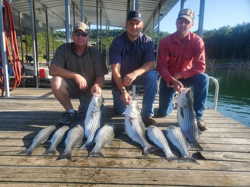 Nice Striped Bass