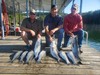 (08/17/2023) - Nice Striped Bass