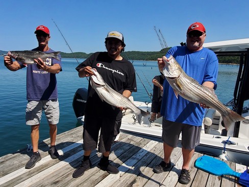 Nice Striped Bass