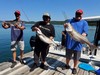 (08/18/2023) - Nice Striped Bass
